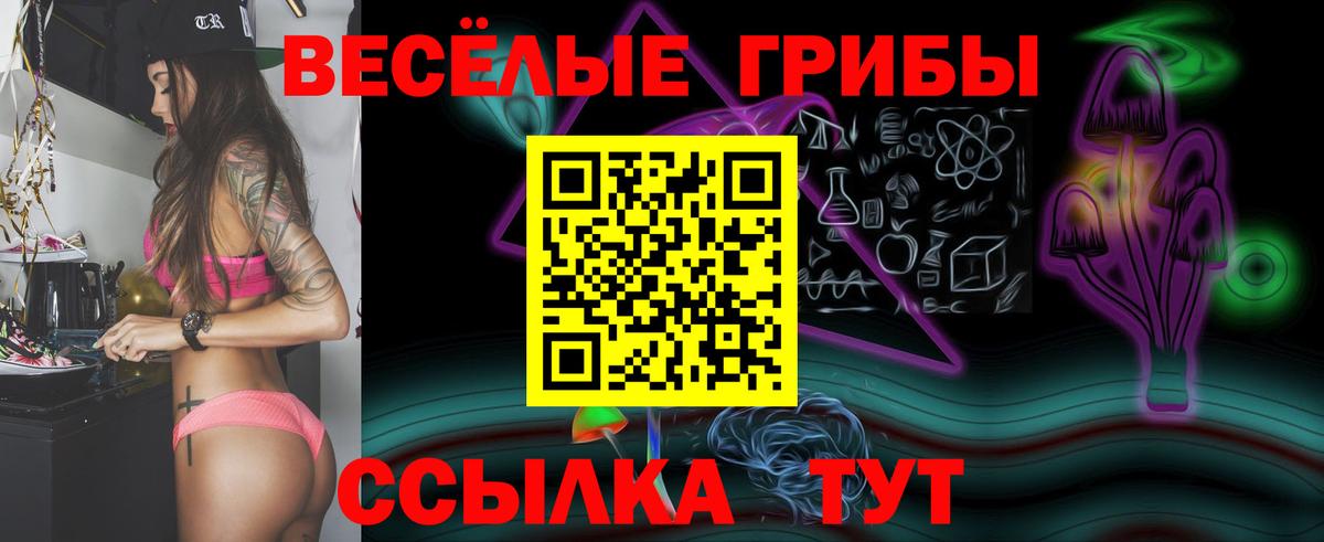 Галлюциногенные грибы мухоморы  где продают   Знаменск  Вход с VPN 